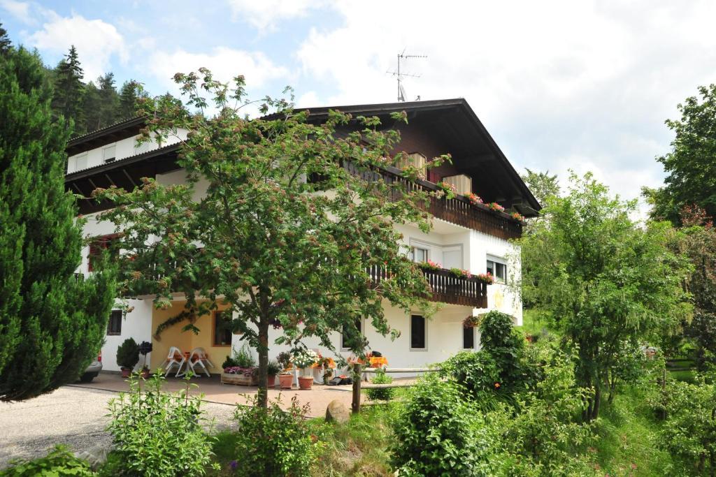 Pension Harrasser Falzes Habitación foto